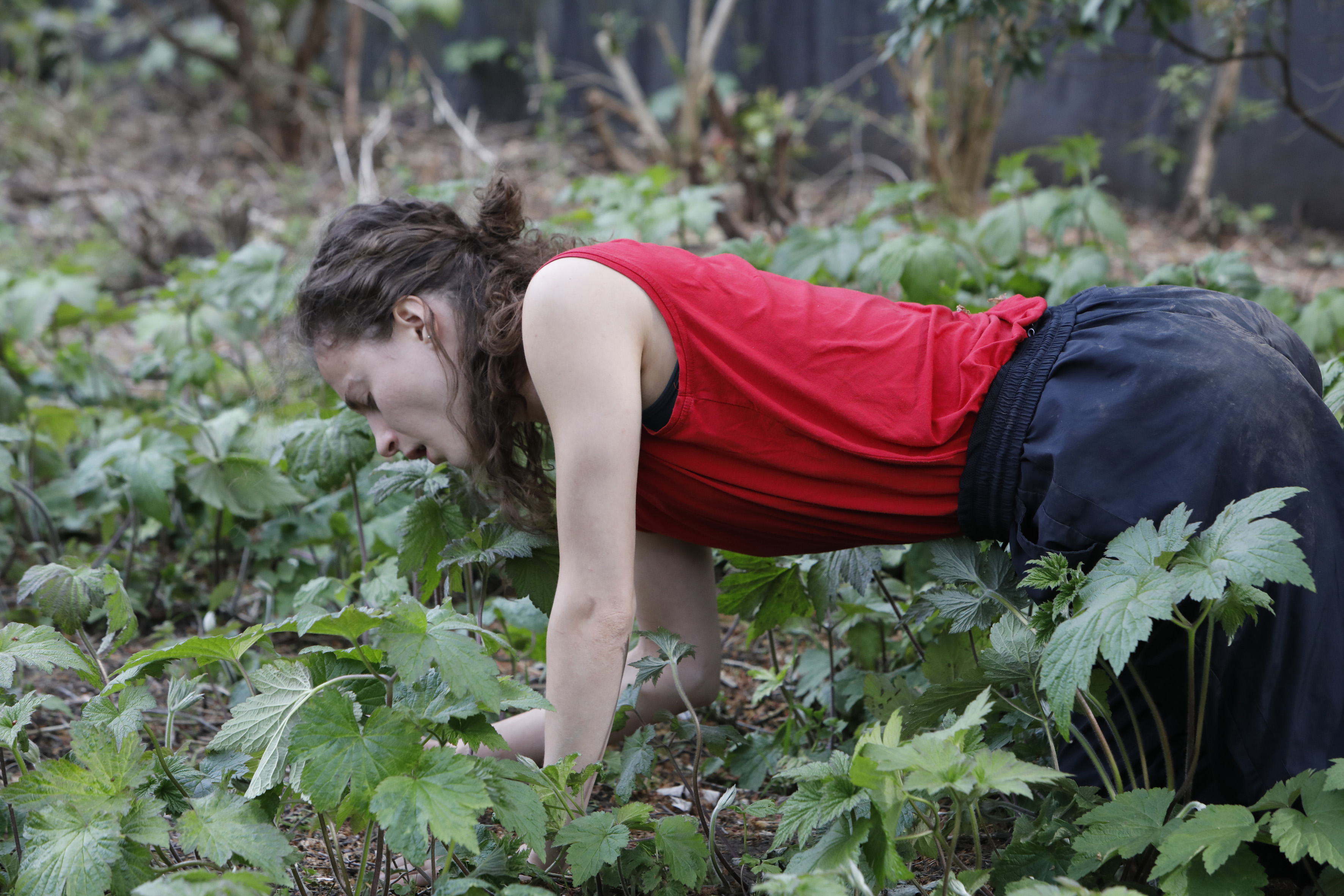 Taylor Drury in "CREATURE"